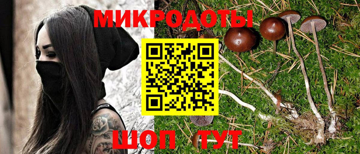 Галлюциногенные грибы Psilocybe  Вход с VPN  Рыбинск 